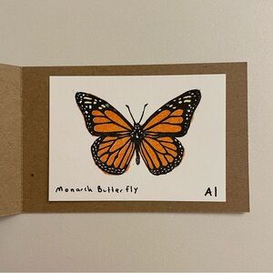 Inciardi Prints - Monarch Butterfly